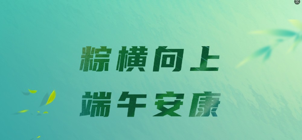 端午节丨粽横向上，端午安康